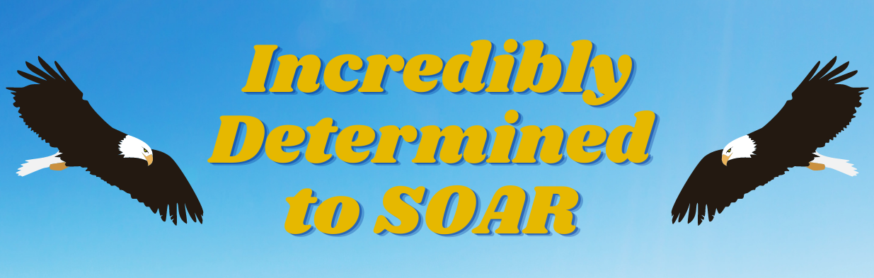 incredibly determined to soar